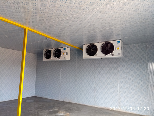 宜昌冷庫(kù)-枝江紅柑橘專(zhuān)業(yè)合作社