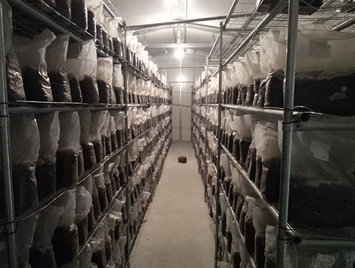 1557821184710957.jpg 宜昌富民4.jpg