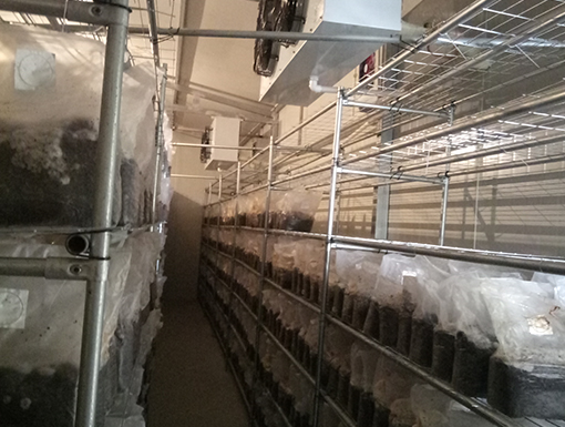 1557821188636065.jpg 宜昌富民5.jpg