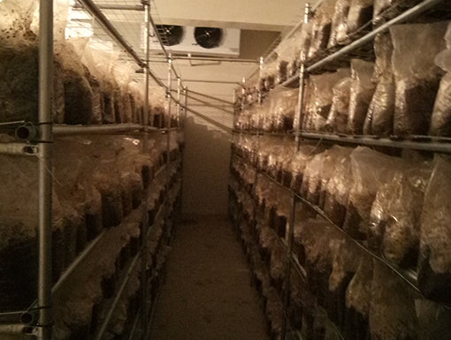 1557821195837993.jpg 宜昌富民6.jpg