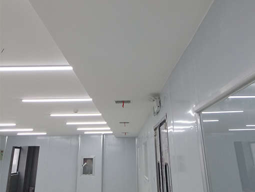 1557821708929340.jpg 宜昌摩范食品4.jpg