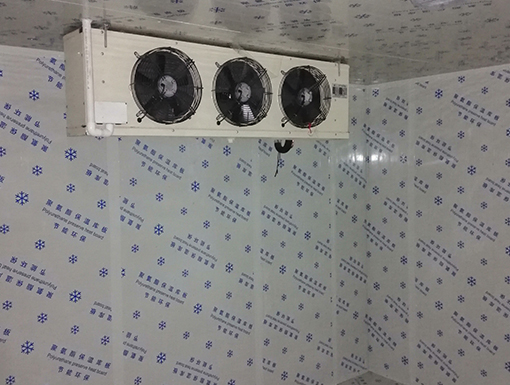 1557822051718596.jpg 宜昌元喜精品水果保鮮庫2.jpg