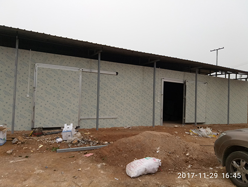 1557822489701839.jpg 枝江紅柑橘專業(yè)合作社.jpg