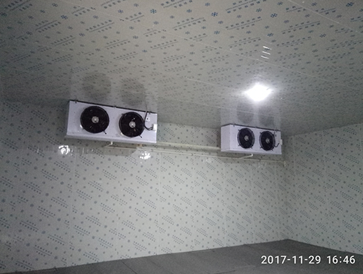 1557822492937762.jpg 枝江紅柑橘專業(yè)合作社1.jpg