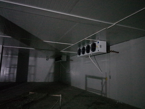 1557822582689653.jpg 枝江劉魔王1.jpg